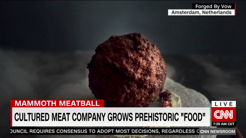 Meatball made from DNA of a Mammoth | CNN