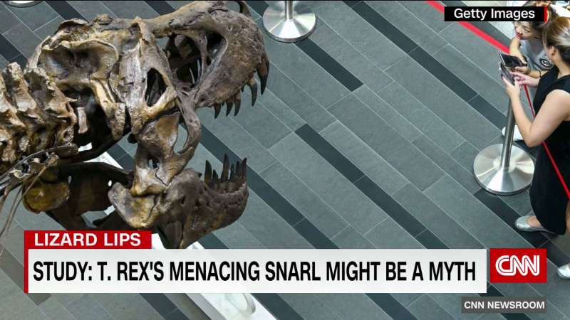 Study suggests T. Rex’s menacing snarl might be a myth | CNN