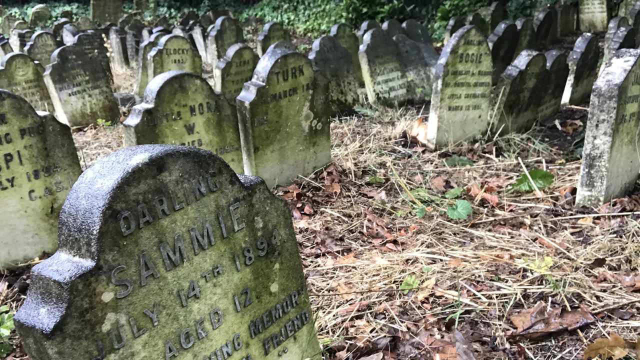 "Darling Sammie," reads one of the animal gravestones dating back to the 1890s in Hyde Park Pet Cemetery, London. Photo taken by Eric Tourigny with permission from The Royal Parks.
