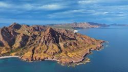 CTE protectors of the sea video card 1