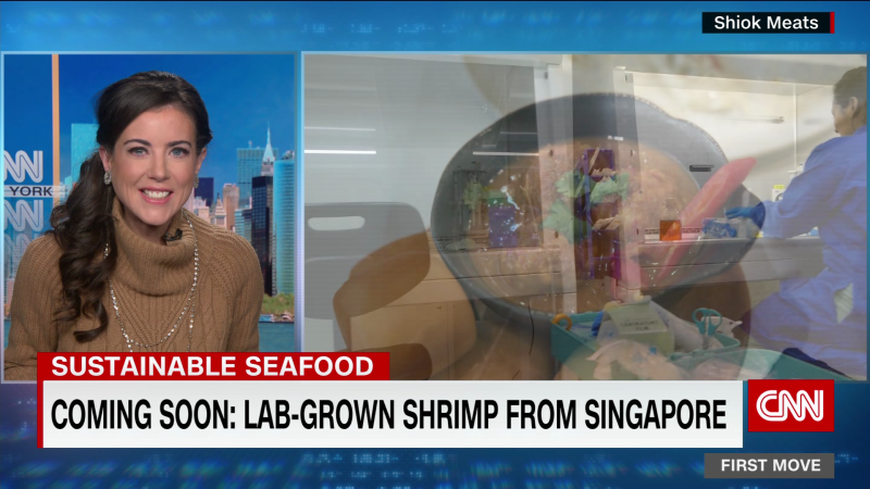 Lab-grown seafood from Singapore | CNN Business