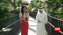 exp aviation gulf giokos pkg 010412PSEG1 cnni business_00055525.png