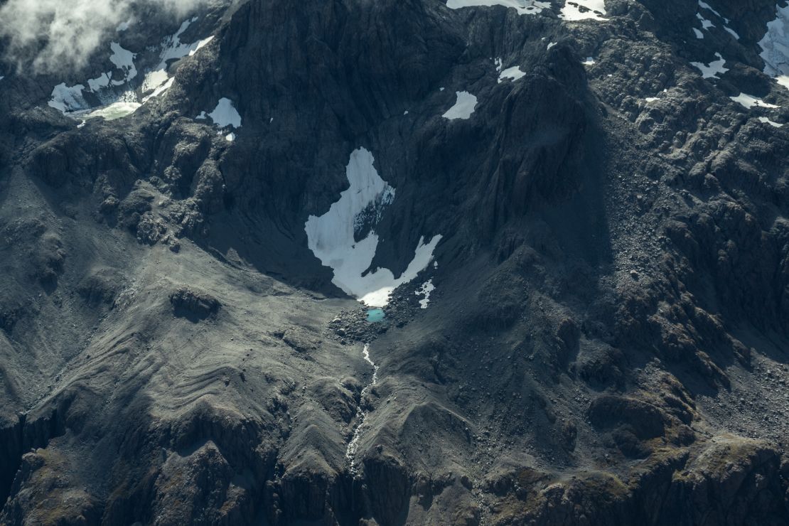 ‘Shocked’ by the loss: Scientists sound the alarm on New Zealand’s