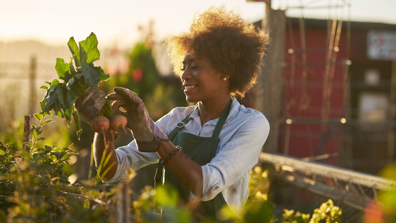Gardening is a popular outdoor activity that can help build muscle strength and burn calories, according to the US Physical Activity Guidelines for Americans.