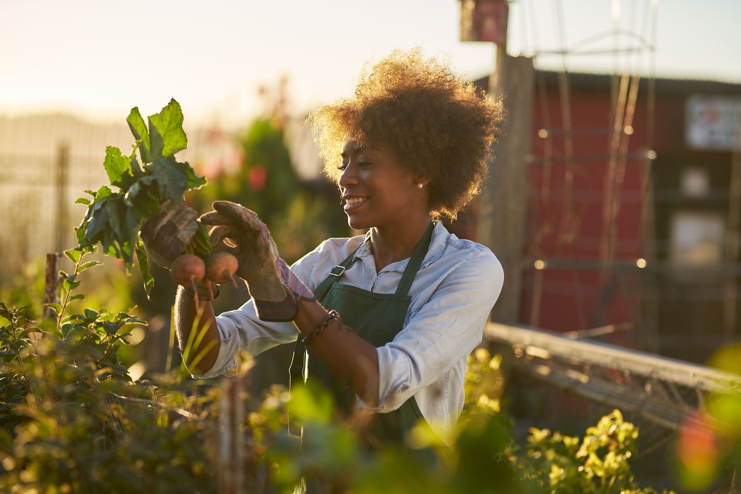 Gardening Tips For Beginners