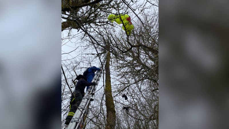 Washington firefighters come to the rescue of parachutist stuck in tree | CNN