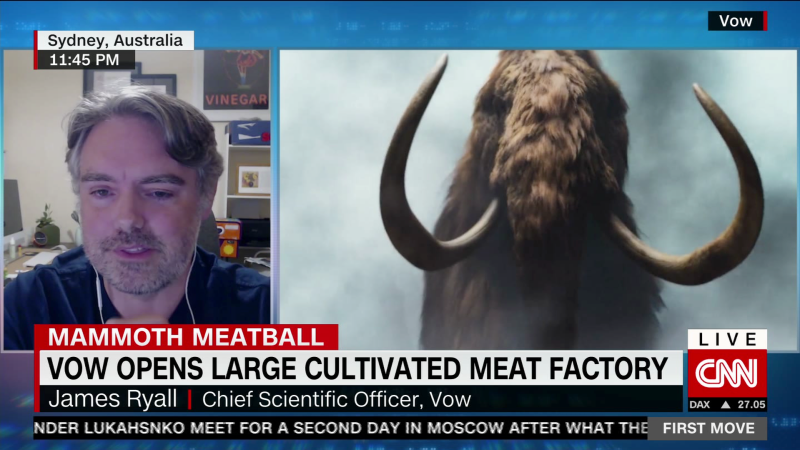 Creating a mammoth meatball | CNN Business