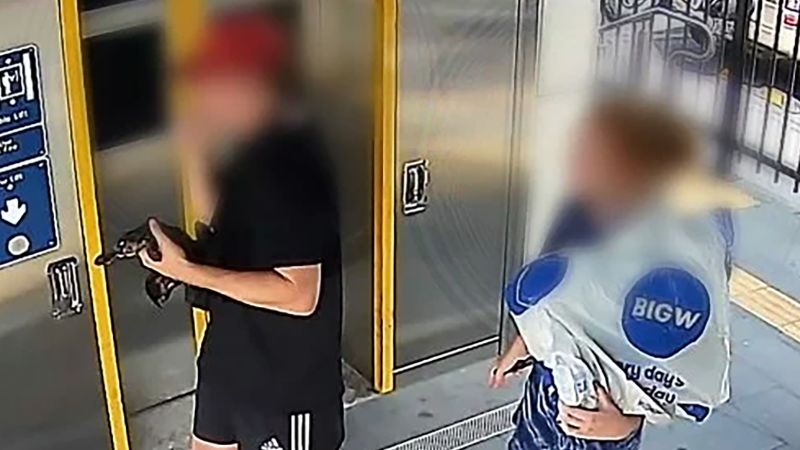 NextImg:Man charged after platypus is taken from the wild and onto a train | CNN