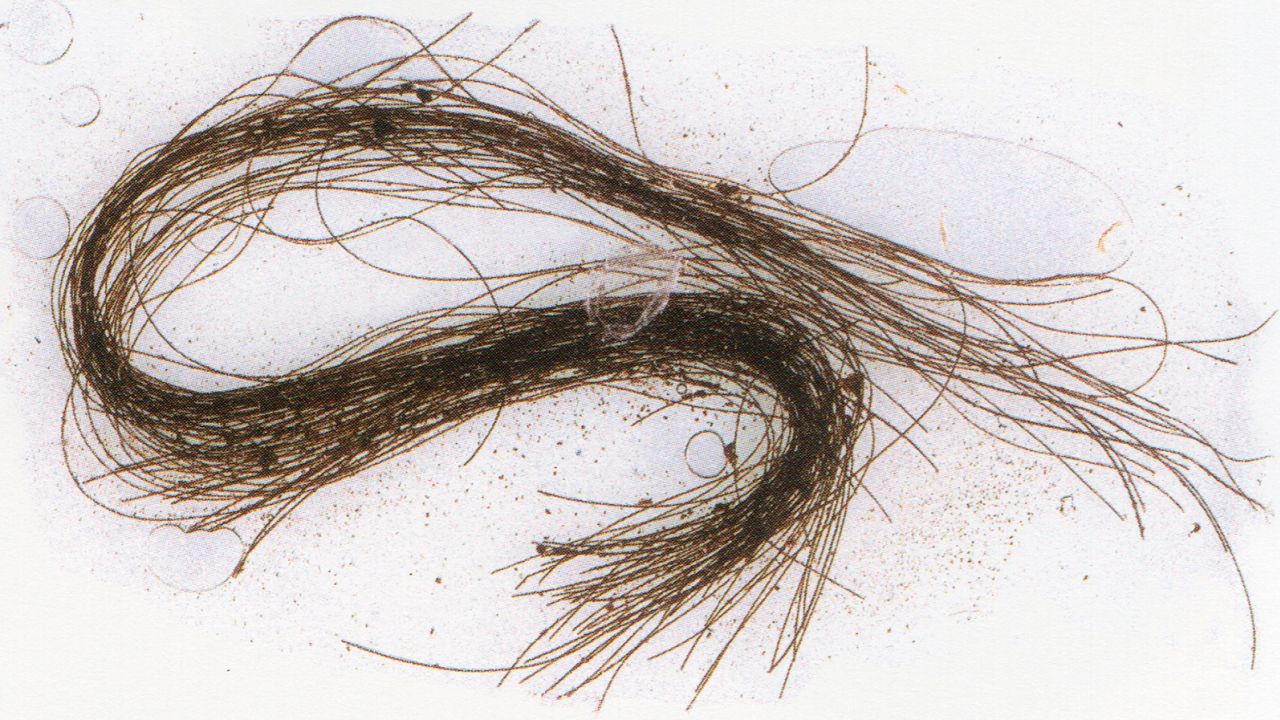 Locks of hair were tinted red, and strands were combed, cut and then sealed inside tubes. 