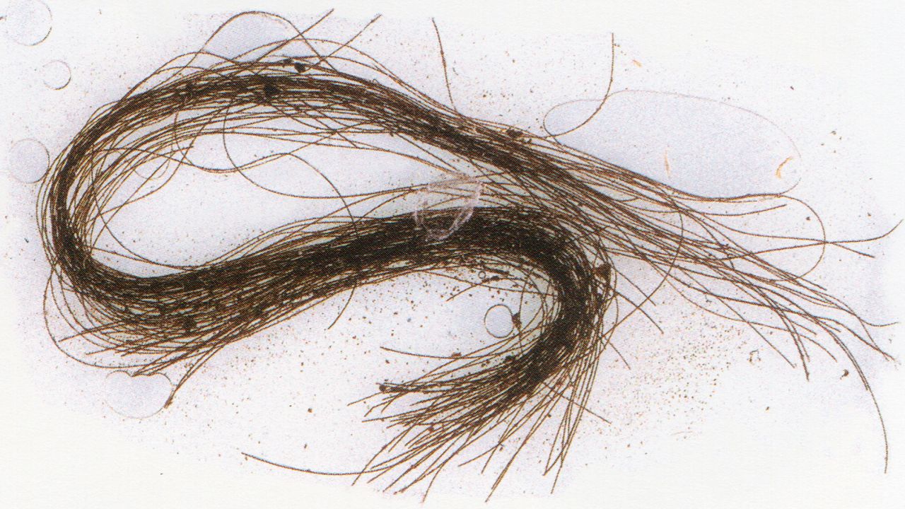 Locks of hair were tinted red, and strands were combed, cut and then sealed inside tubes.