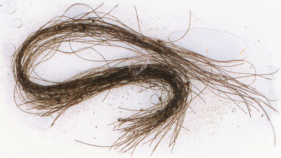 Locks of hair were tinted red, and strands were combed, cut and then sealed inside tubes. 