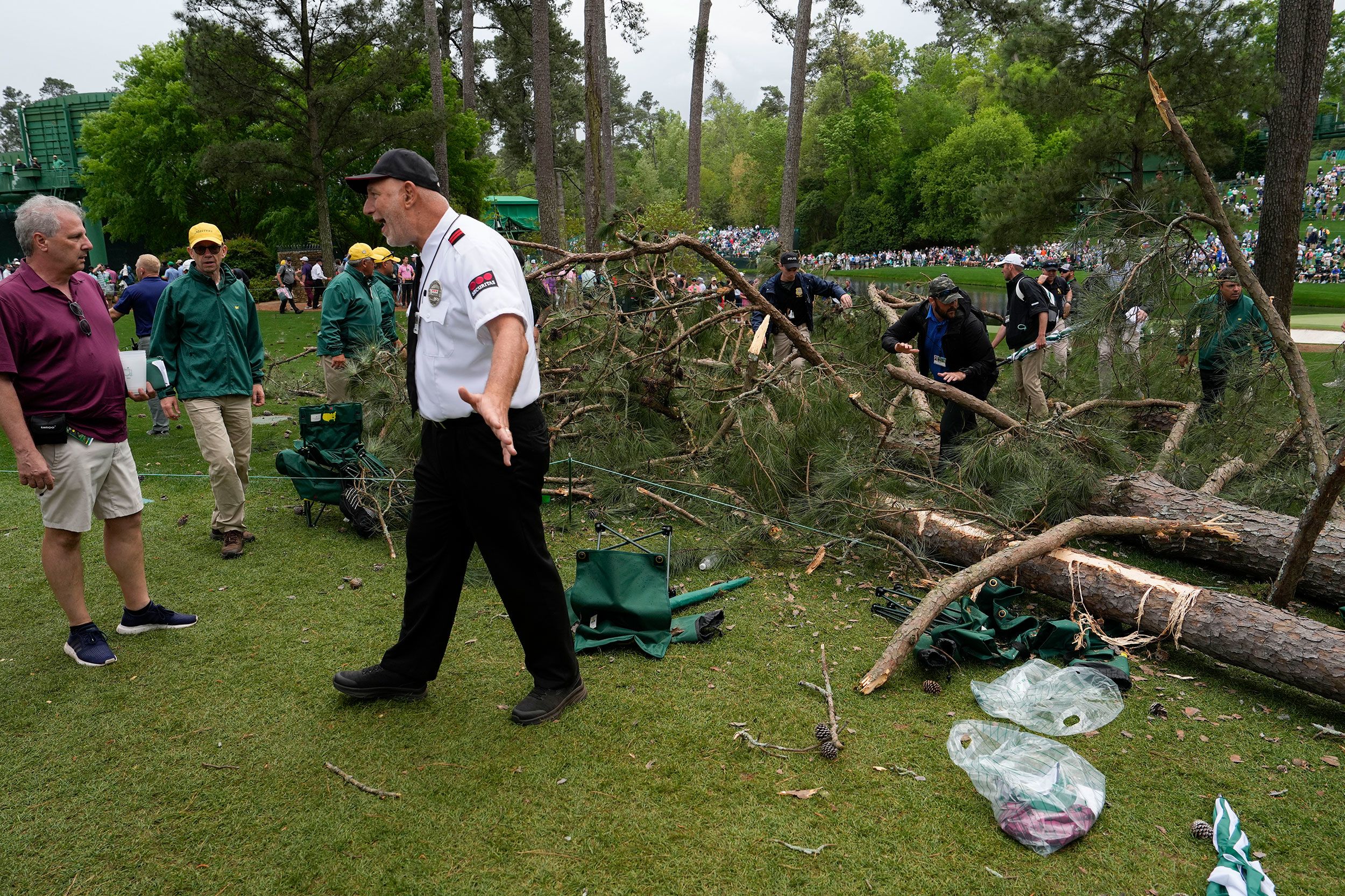 Masters leaderboard: Play suspended as huge tree falls to the ground in  scary scene, Golf, Sport