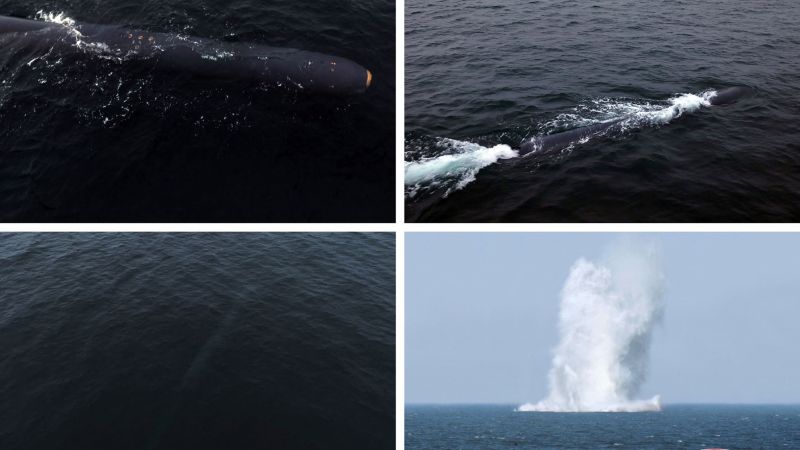 NextImg:North Korea claims to have tested Haeil-2 underwater nuclear drone | CNN
