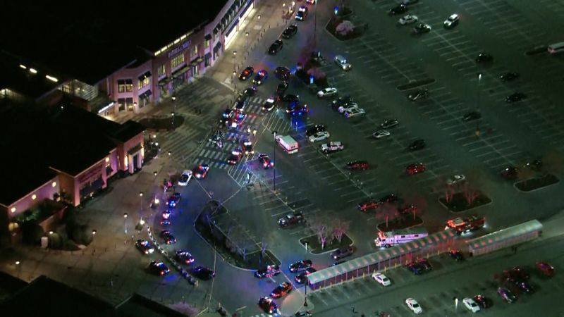 At Least 3 People Were Shot During A Confrontation At A Mall Food Court ...