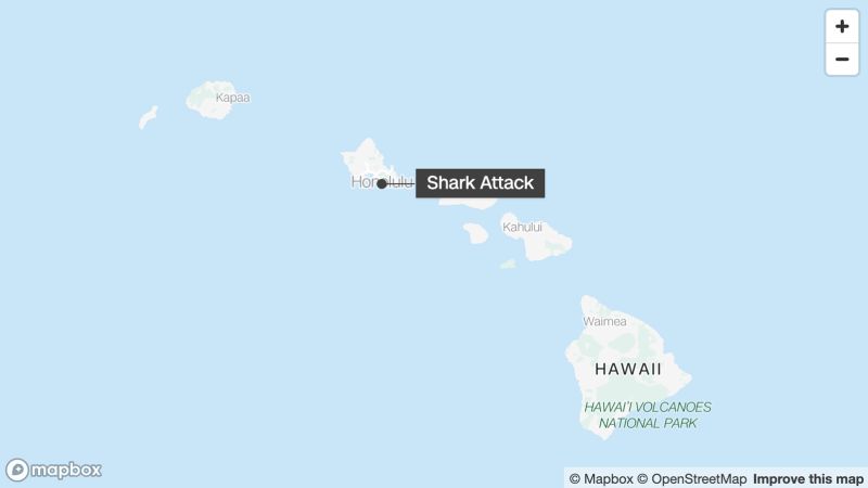 NextImg:Shark bite leaves surfer in Hawaii in serious condition | CNN