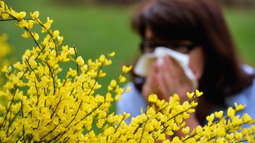 A woman blows her nose in Godewaersvelde, northern France on May 18, 2013, as the return of pleasant weather marks the arrival of allergenic pollen. AFP PHOTO / PHILIPPE HUGUEN (Photo by Philippe HUGUEN / AFP) (Photo by PHILIPPE HUGUEN/AFP via Getty Images)