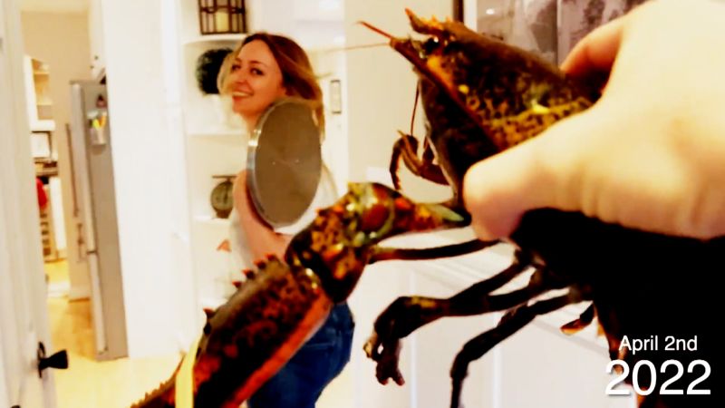 NextImg:Video: Husband celebrates 10 years of chasing his wife with live lobster | CNN