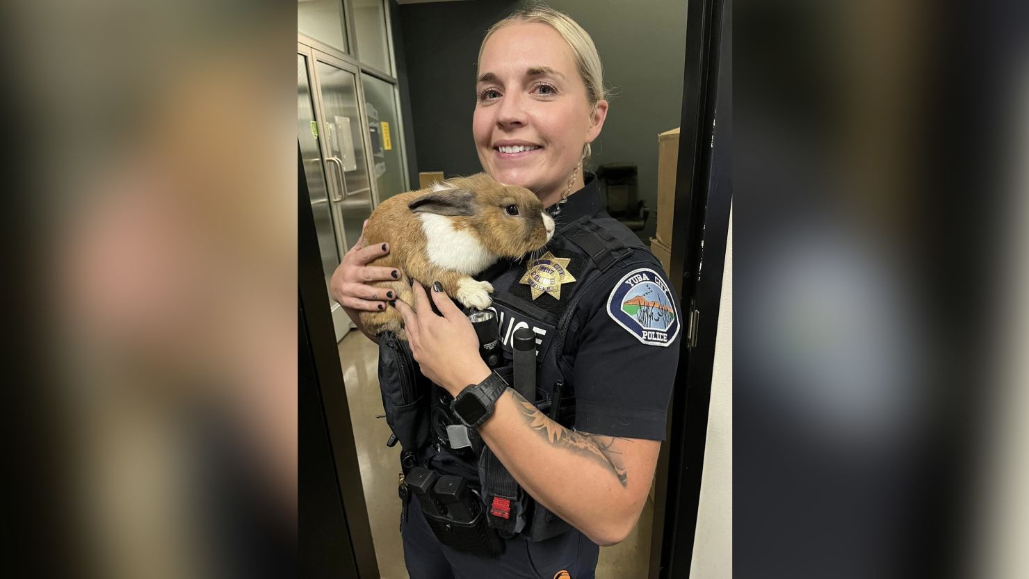 A new recruit has joined the police department in Yuba City, California: a bunny wellness officer, who serves to improve the department's mental health. 