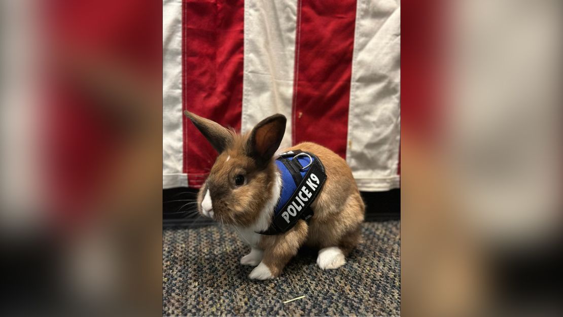 The therapy bunny is part of a recent push to focus on members of the police department's mental health.