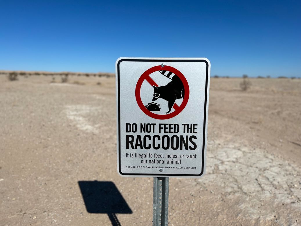 <strong>Animal magic:</strong> Local pastimes include searching for the elusive Slowjamastan raccoon, the national animal.