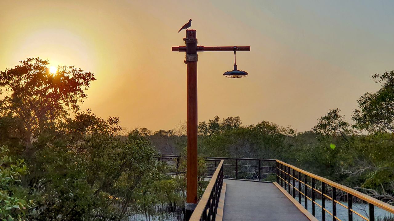 <strong>Low lights:</strong> They're beautiful at any time, but visiting the mangroves during sunrise or sunset is highly recommended. For the best boat trips, it's also advisable to check when high tide is due.