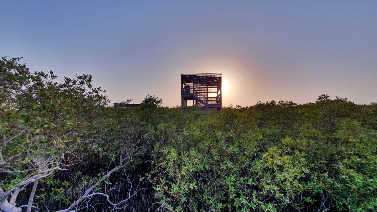 <strong>Viewing tower:</strong> A platform built above the trees offers the perfect spot to enjoy green vistas.