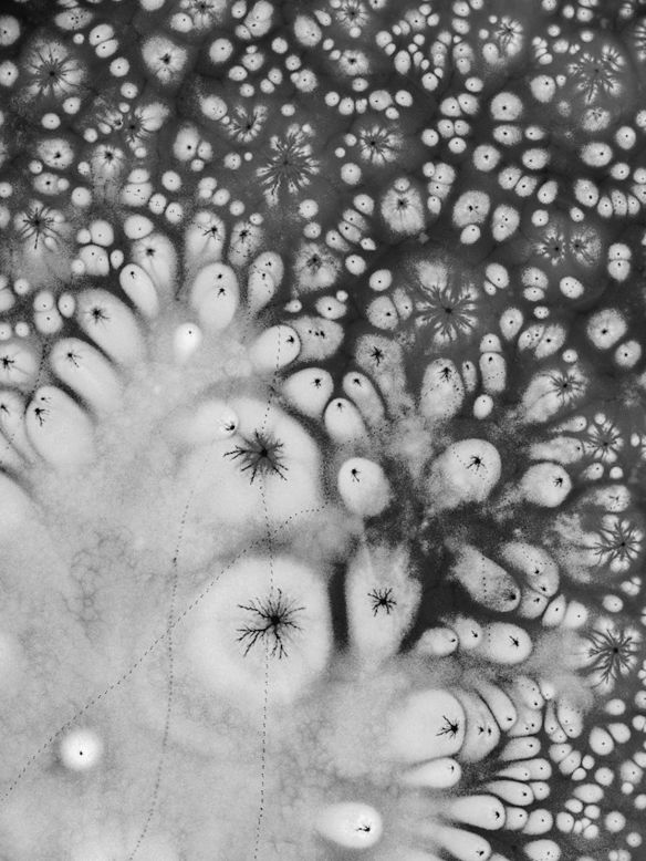 Polish photographer Kacper Kowalski's black and white images saw him named winner of the landscape category.