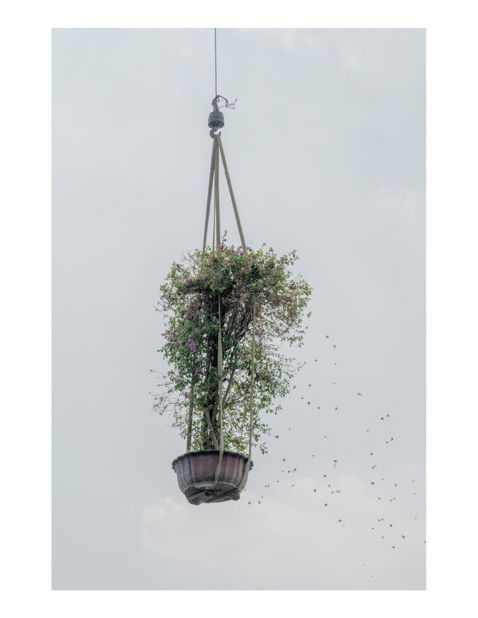 Kechun Zhang, from China, won with his series "The Sky Garden," which captured trees and plants being transported at a nursery. 