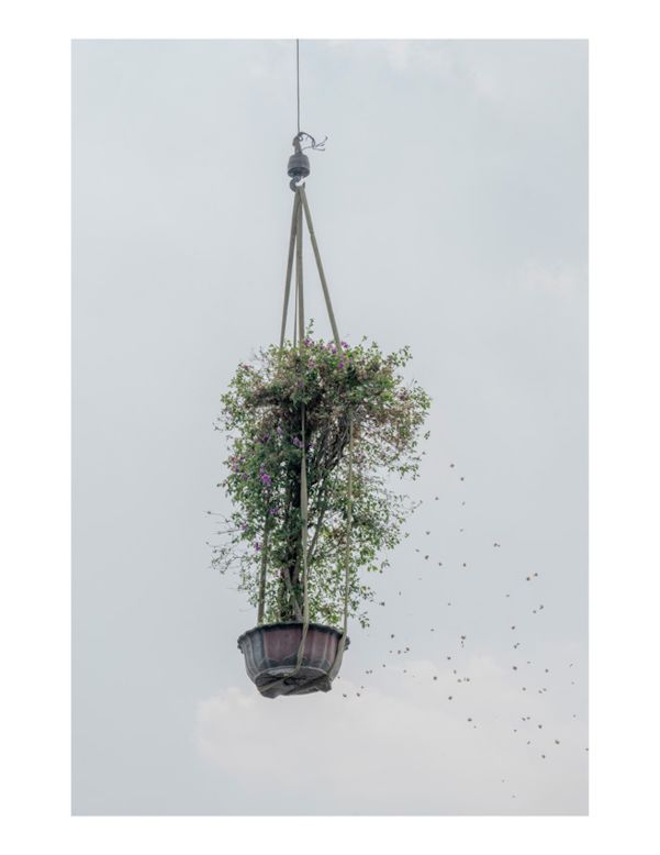 Kechun Zhang, from China, won with his series "The Sky Garden," which captured trees and plants being transported at a nursery.