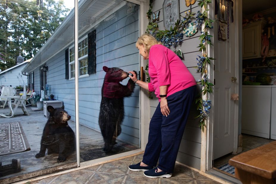 Photographer Corey Arnold was recognized for his series documenting the relationship between a North Carolina couple and the bears that show up on their back porch. 