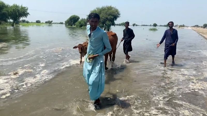 Video: Remember last year’s floods in Pakistan? This is how they’re affecting people today | CNN