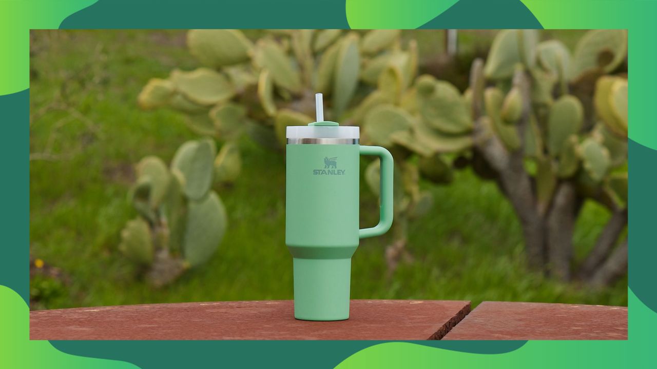 stanley-quencher-deal-lead-cnnu-border