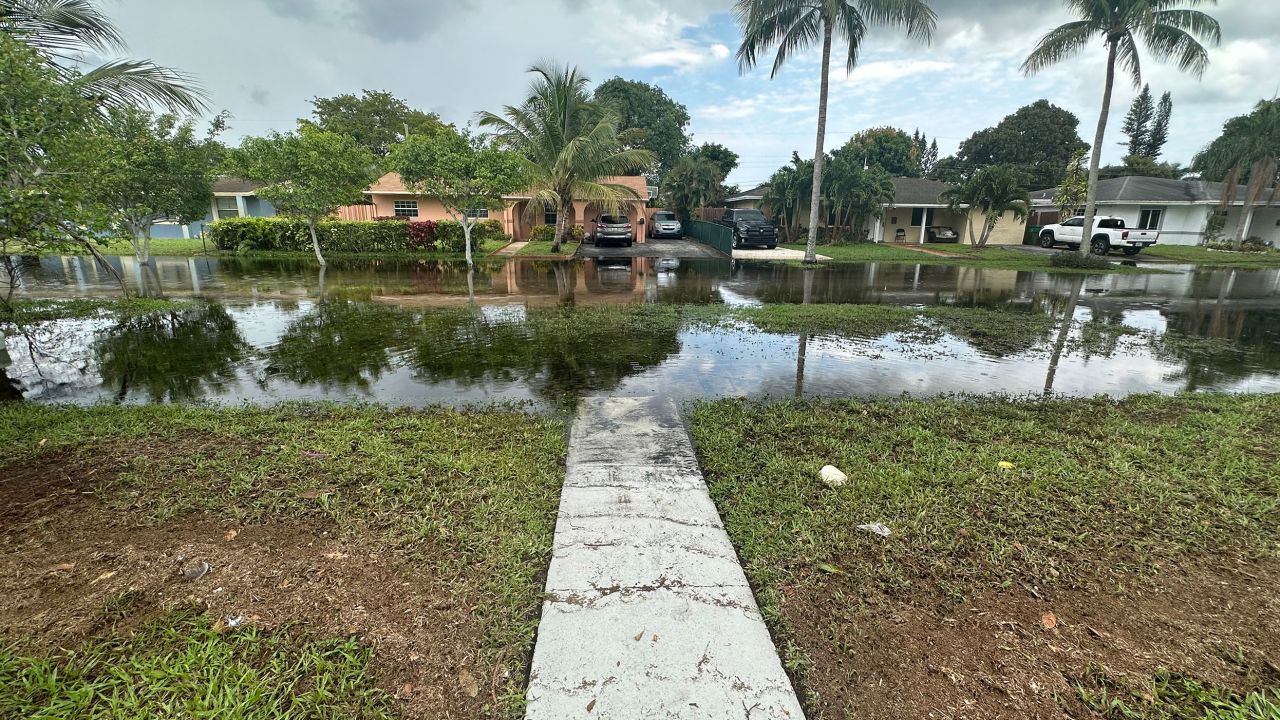 The front street of Mandi-Lynn Guertin's Airbnb in Fort Lauderdale Thursday.