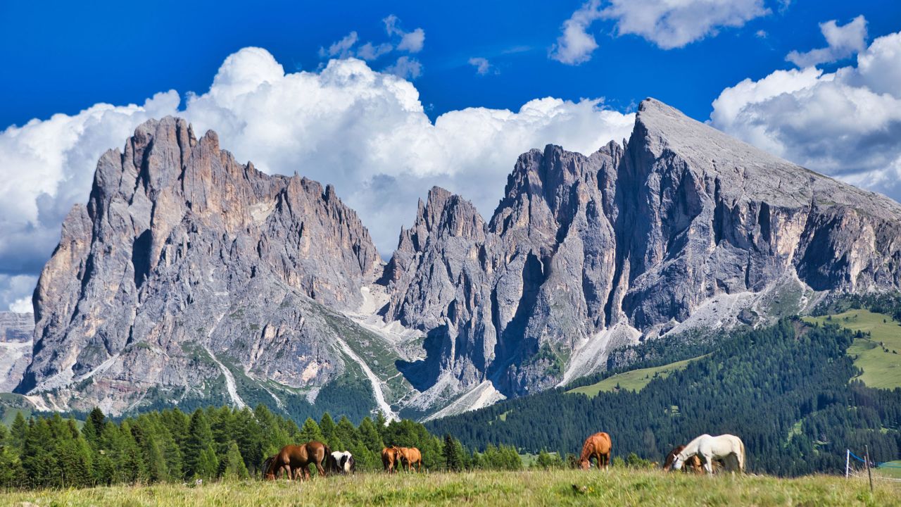 The Alpe di Siusi alpine meadow is one of the big draws of Alto Adige.