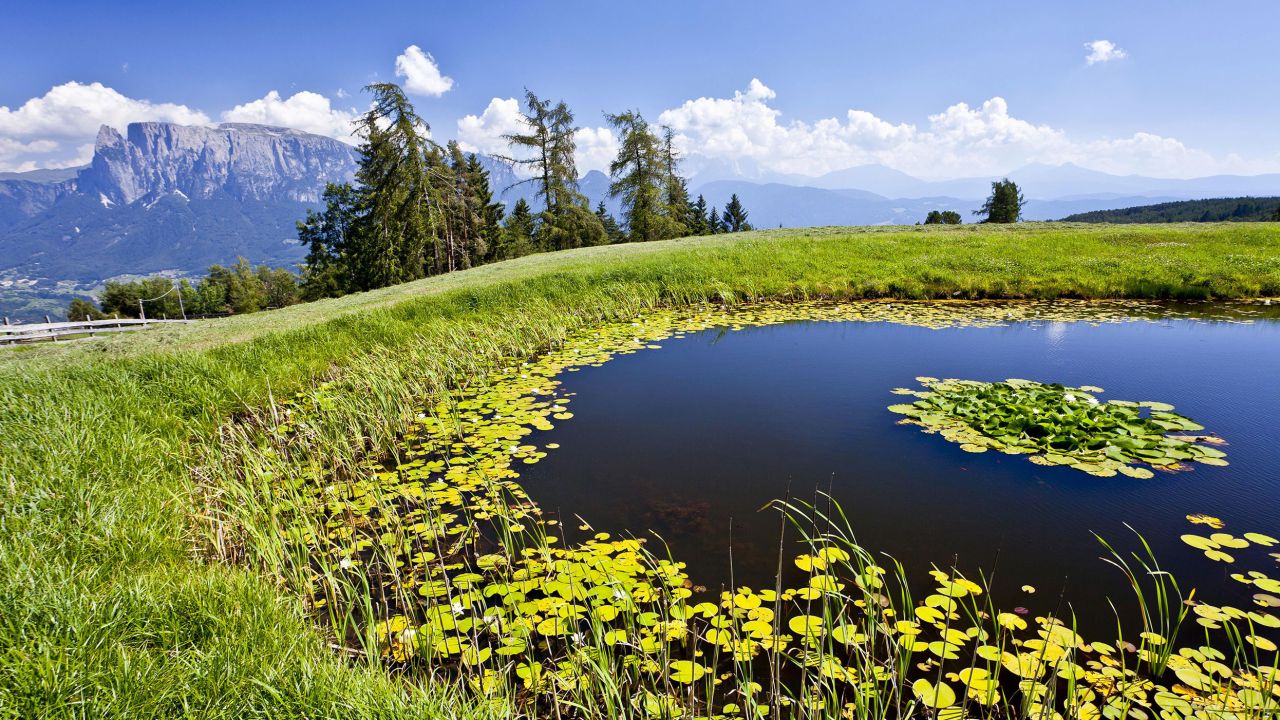 Alto Adige is known for its sweeping Dolomite landscapes, like the Ritten plateau.