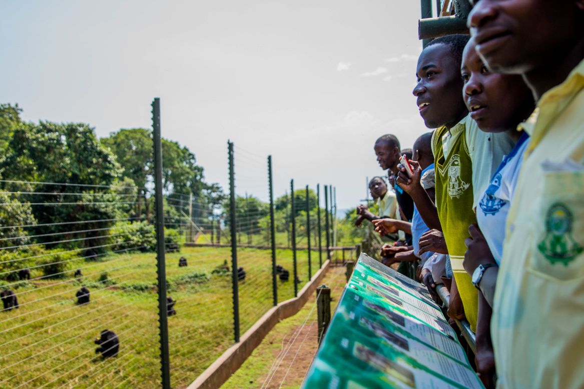 TonyWild offers a Visual Ecological Literacy Program, where students are given hands-on lessons in conservation photography to build awareness of their surroundings, and work toward finding solutions to the environmental challenges facing their communities. Pictured: students get to see chimps up close and personal at the Ngamba Island Chimpanzee Sanctuary in Uganda.