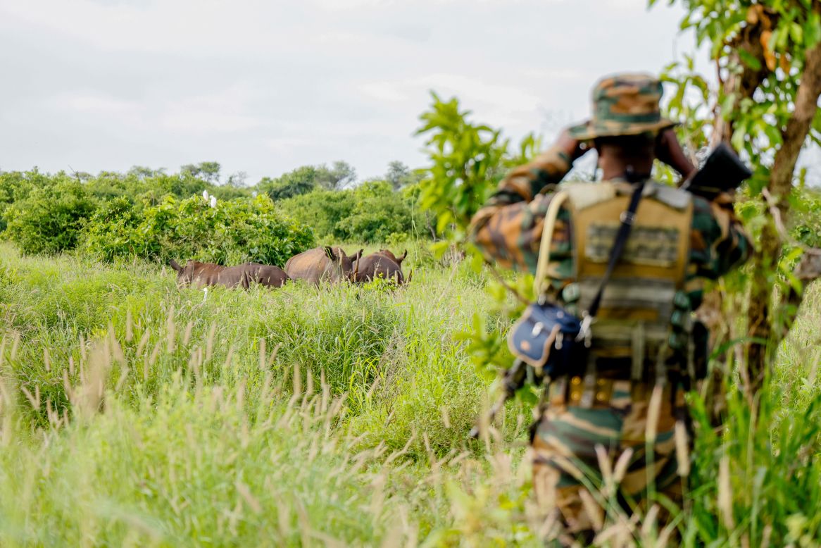 In addition to photography, Onyango has made several films through TonyWild highlighting conservation efforts around Africa. "<a href="https://www.tonywild.co.ke/the-forest-guardian/" target="_blank" target="_blank">The Forest Guardian</a>" follows a man who has made it his life's mission to protect a Kenyan forest that is home to more than 60 chimpanzees. "<a href="https://www.tonywild.co.ke/rhino-lover-and-hero/" target="_blank" target="_blank">Rhino Lover and Hero</a>" (pictured) shares the story of the work being done at the rhino sanctuary at the Meru National Park in central Kenya.