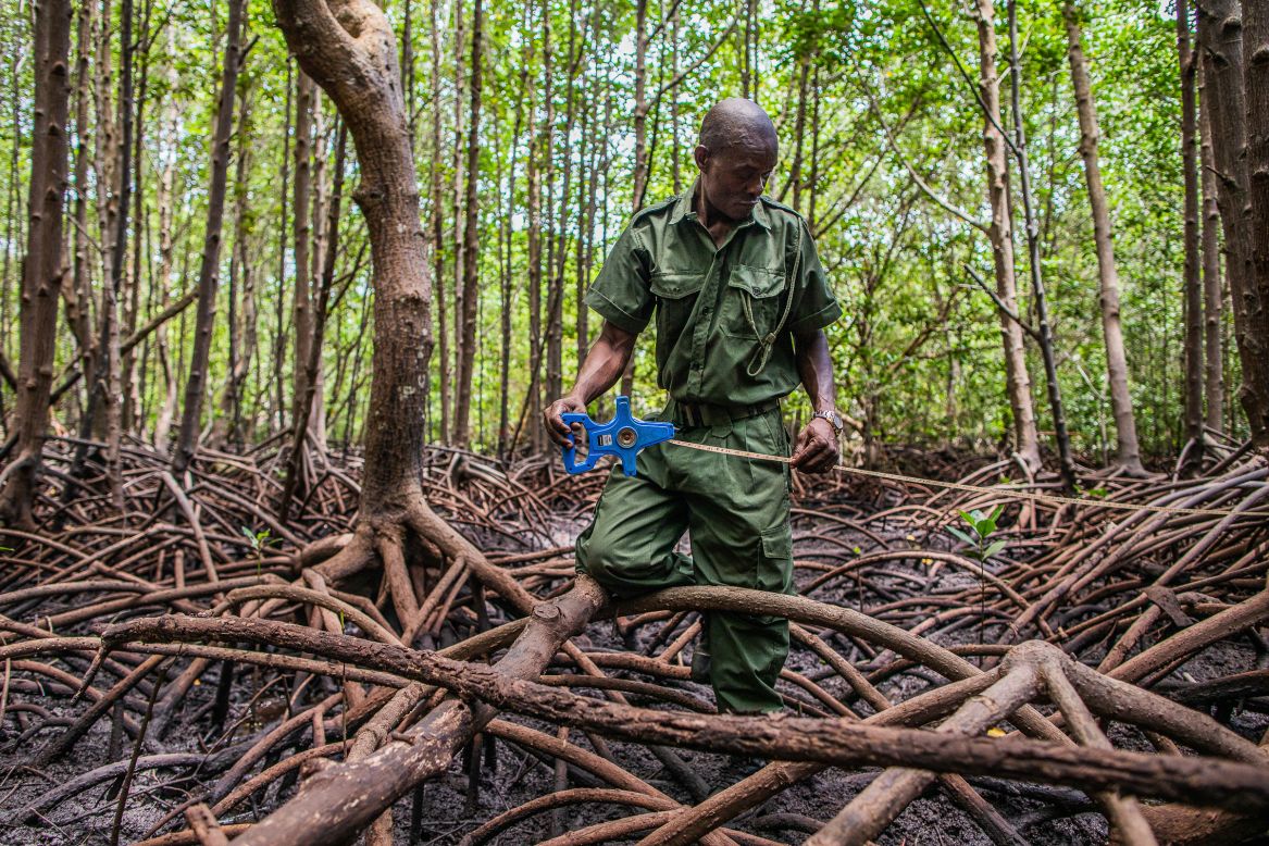 Here, Onyango photographed a ranger from the <a href="https://www.mikokopamoja.org/" target="_blank" target="_blank">Mikoko Pamoja Project</a> in southern Kenya. The project is a community-led initiative to restore and protect mangroves in the area. "We as Africans have a role to play in supporting conservation," Onyango says, adding his goal is to expand TonyWild to provide resources and education across "every habitat and ecosystem."