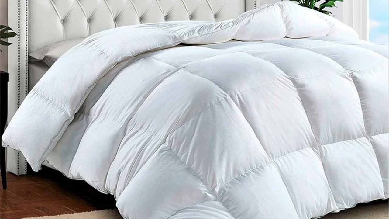 alwyn home comforter cnnu