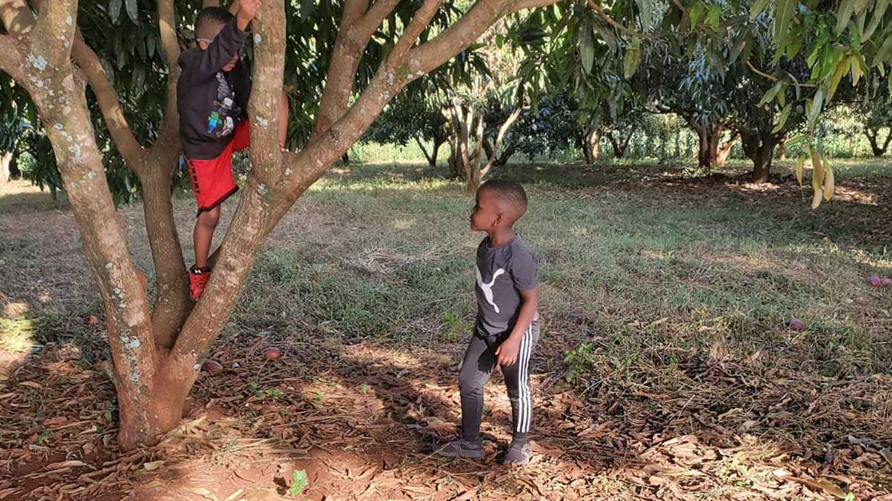 Liam, right, playing on his grandfather's farm in Kenya.