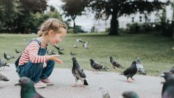 girl with pigeons 2 getty vpx thumb
