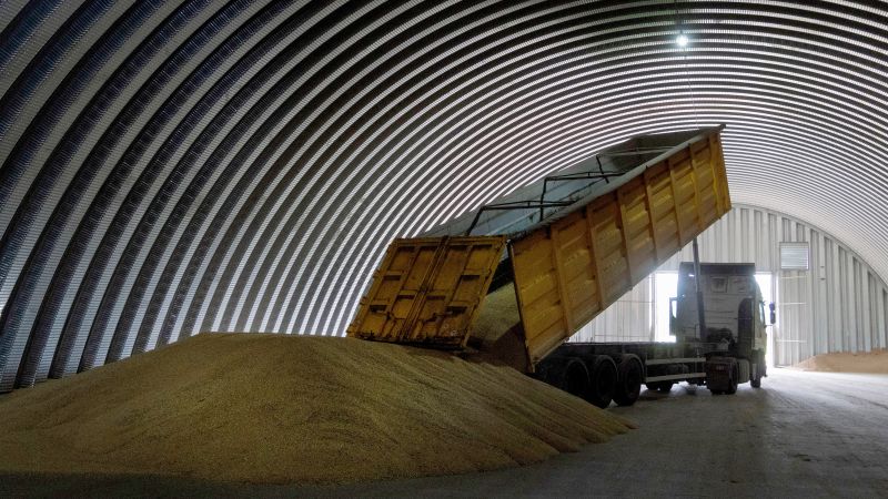 Poland and Hungary ban Ukrainian grain amid glut from neighbor | CNN