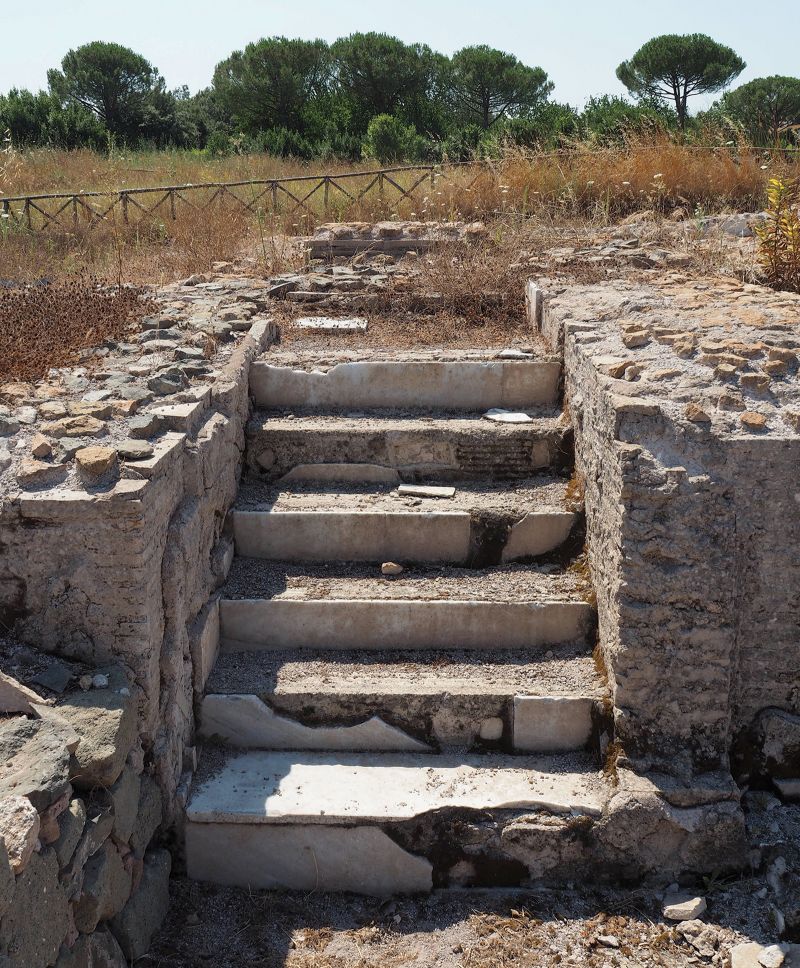 Ancient Winery Gave Rich Romans A Taste Of Winemaking — Without The ...