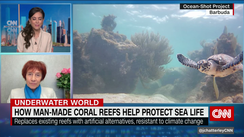 The man-made coral reefs helping protect sea life | CNN Business
