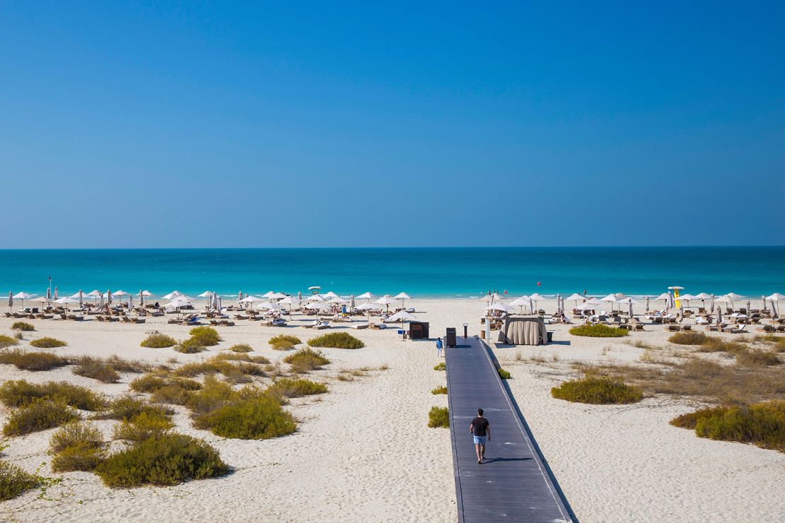 Rare hawksbill turtles nest in the dunes on Saadiyat's beach.