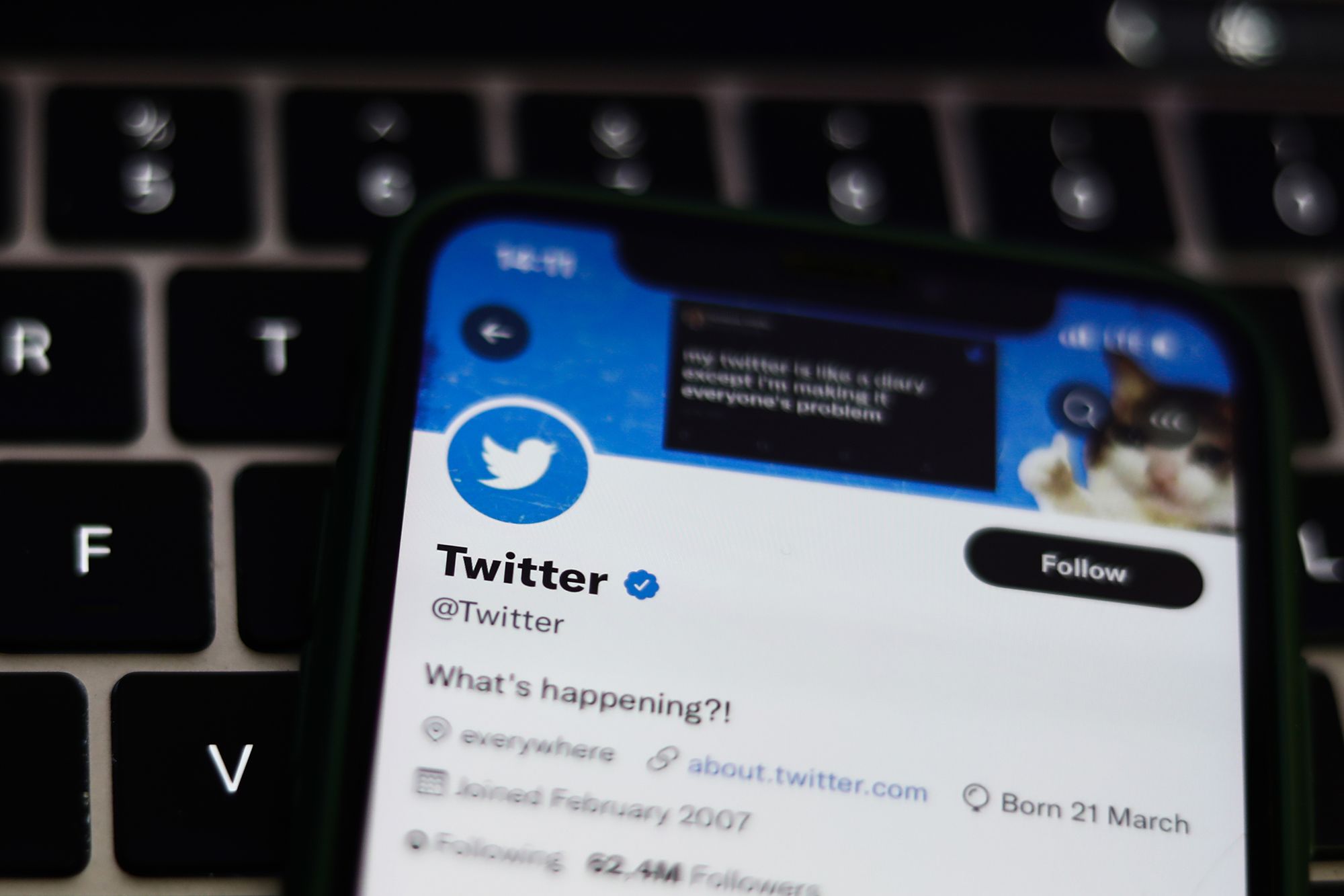 Twitter Blue verification separates 'notable' accounts from subscribers -  The Verge