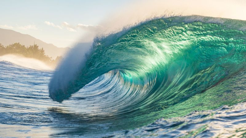 NextImg:Want to help the ocean? Avoid the moisturizer with shark in it | CNN