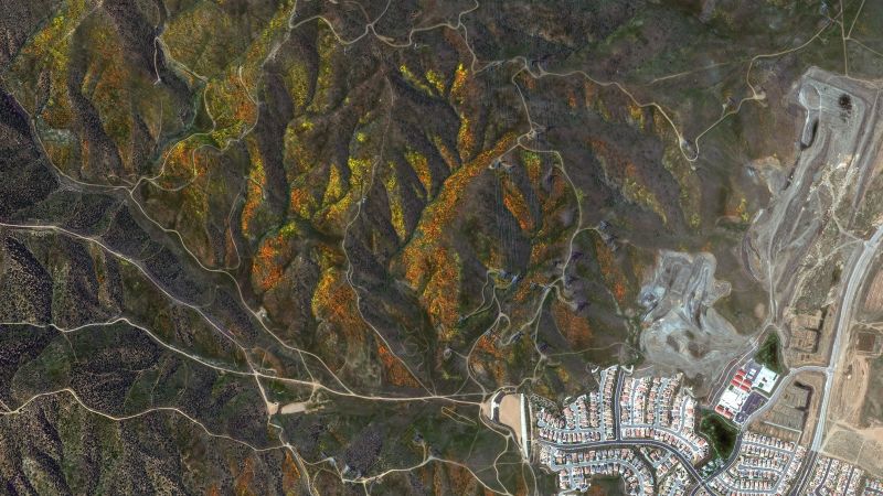NextImg:California hillsides are exploding with wildflowers after epic rainfall. Here's what it looks like from space | CNN