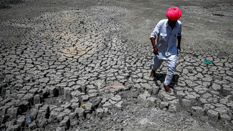 Lethal warmth waves triggered by local weather change threaten India’s growth, says examine