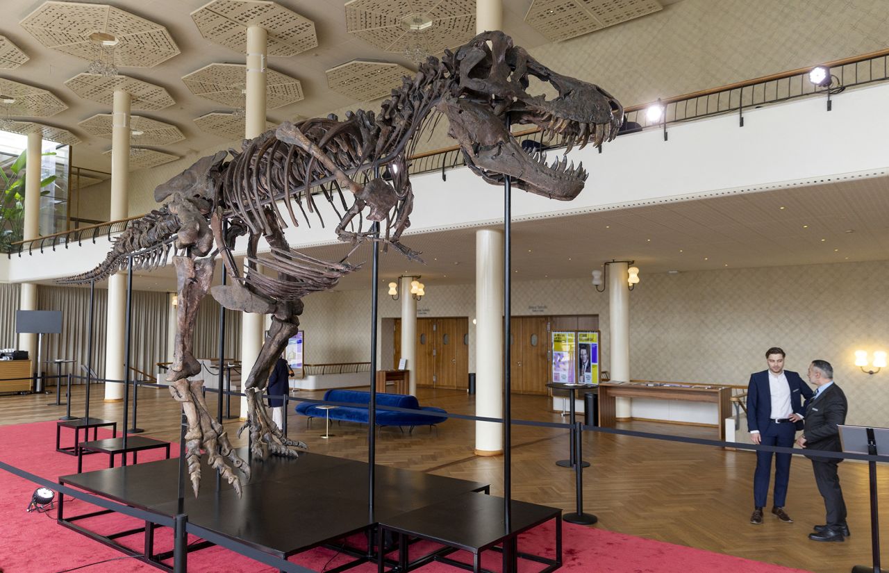 The skeleton sold for less than expected.
